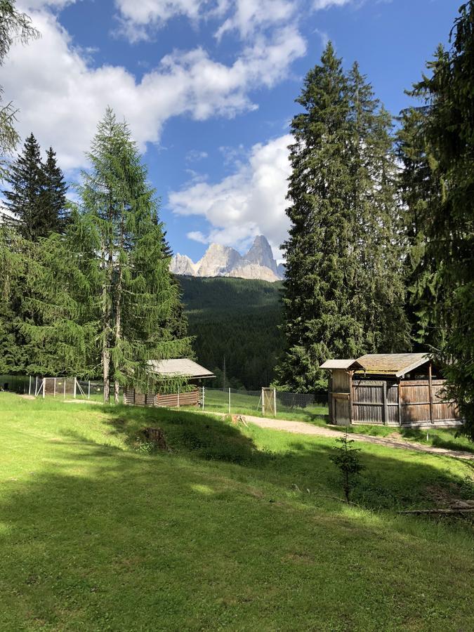Albergo La Bicocca Paneveggio Buitenkant foto